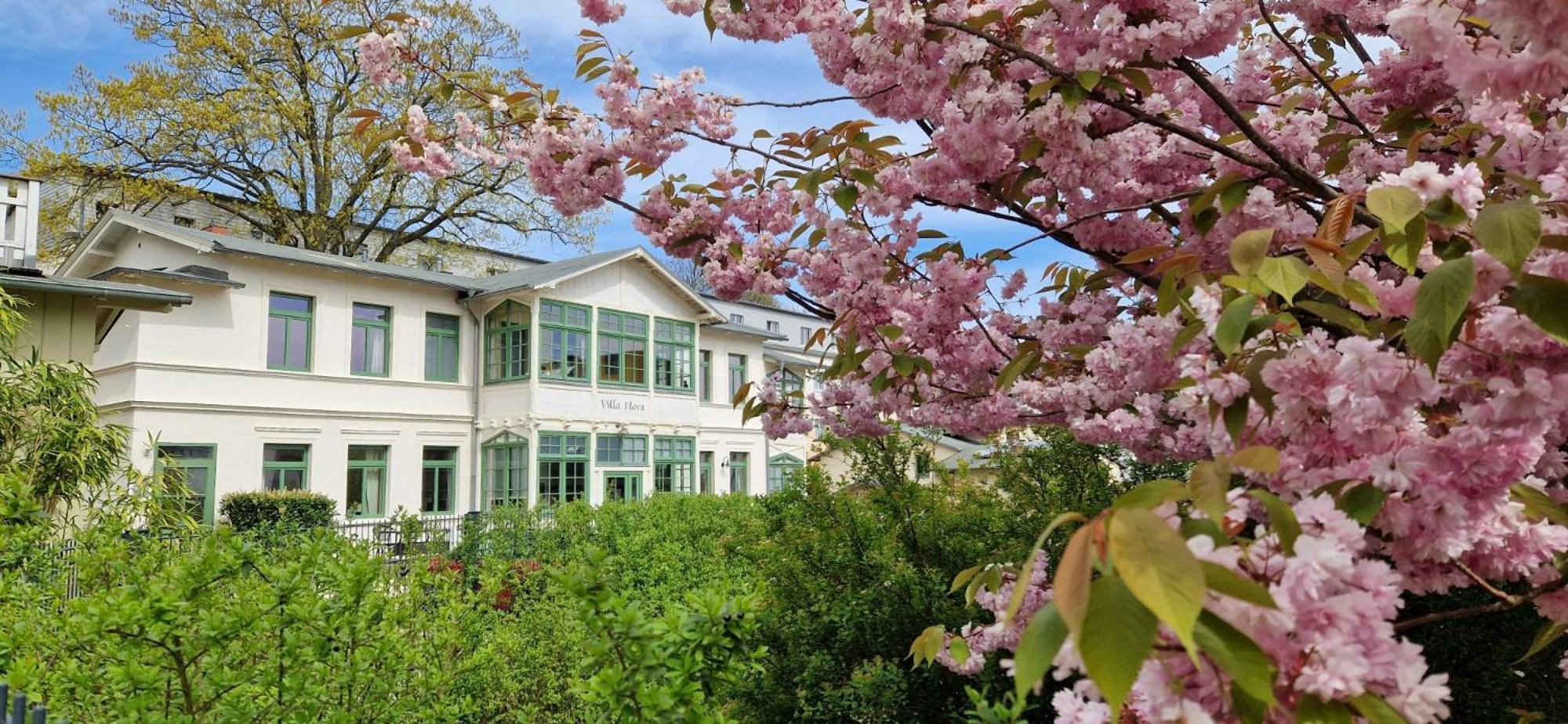 Villa Flora 塞巴特黑灵斯多夫 外观 照片